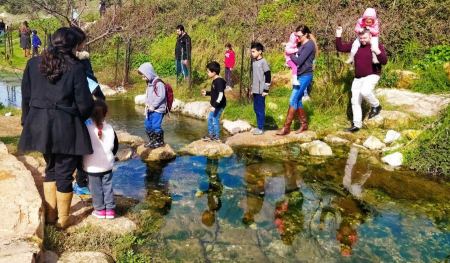 مشروع استصلاح وادي صفورية 